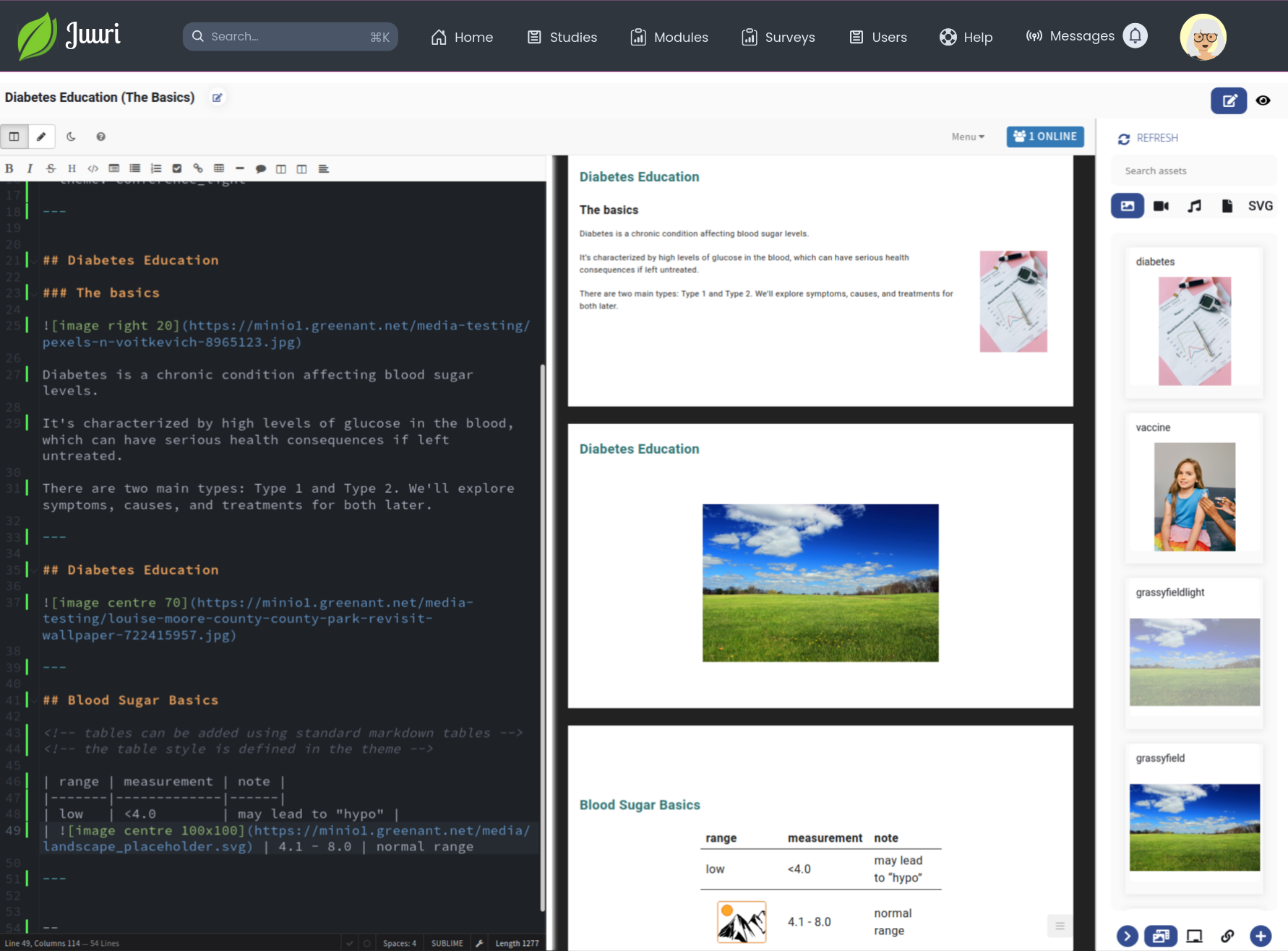Module Editor